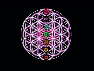sacred geometry, chakras, flower of life, spiritual, meditation, Victor 