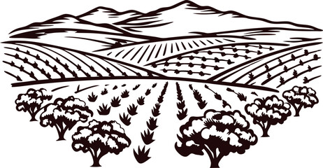 Fototapeta premium Hand drawn agricultural landscape with mountains, fields, and trees in vintage engraved illustration