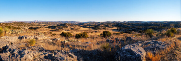 Expansive Texas landscape features native plants in a rugged setting under a bright blue sky. The serene atmosphere creates a peaceful escape into nature's beauty