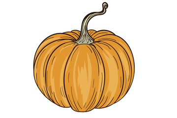  Orange Pumpkin With Stem Illustration Thanksgiving Design Element