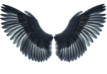 Obraz premium Detailed Isolated Black Wings Illustration On Transparent Background