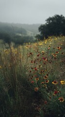 Colorful wildflowers flourish across the Great Plains, creating a stunning landscape. Early morning mist adds a serene touch to the scenic view, showcasing nature's splendor