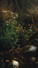 A lush garden features wildcrafted plants thriving among stones and dried foliage, illuminated by warm sunlight that enhances their natural colors in the late afternoon