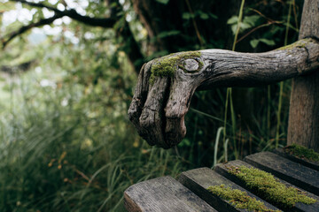 An intricately designed wooden bench sits quietly in a lush garden, adorned with moss and surrounded by tall grasses. This peaceful outdoor setting invites relaxation and reflection