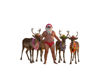 Funny Photo Of Santa Claus With Reindeer In Summer Holiday Isolated Background