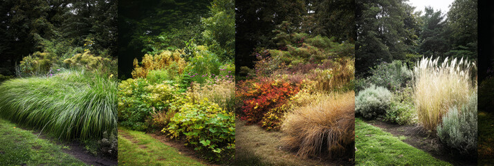 A lush garden filled with various wildcrafted plants creates a vibrant landscape under the soft sunlight, inviting exploration and appreciation of nature's beauty, banner