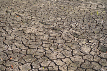 Dry Cracked Earth Texture Background Arid Land