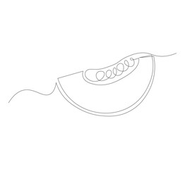One line drawing of healthy organic melon sliced ​​for garden logo identity.white background, Modern continuous line drawing design graphic vector illustration