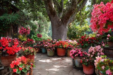 Flowerbed of red and pink begonias in vibrant planters with a large tree behind