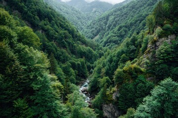 Picturesque green valley in Sochi s mountains Russia
