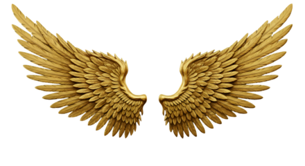 Golden Wings Illustration On Isolated Background Detailed Decoration Design