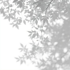 shadow overlay effect. Gray shadow of leaves isolated on white background. Plant foliage leaf shadow 
light effect. Mockup Blurred tree branch shadow. Ideal for summer spring design elements PNG
