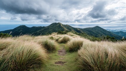 Mountain vista with a path through tall grass.