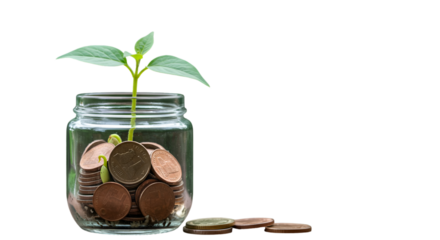 Finance Concept Illustration Of Green Plant Growing In Money Jar With Black Background