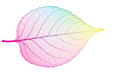 Illustration Of Colorful Leaf Against Black Isolated Background