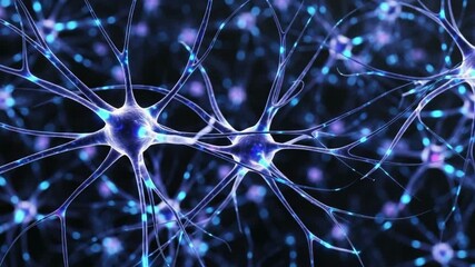 Neurons brain cells neural network synapse nervous system science medical biology anatomy human body - Powered by Adobe