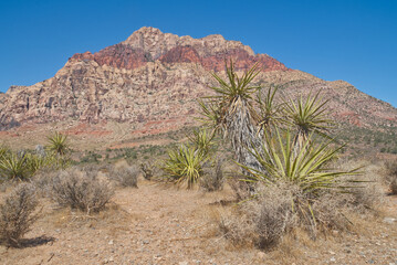 Red Rock Canyon near Las Vegas