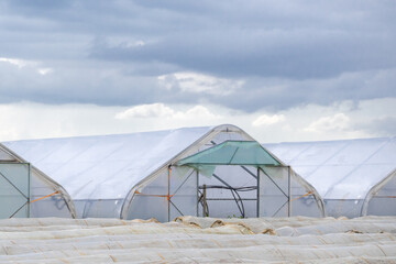 Greenhouses under a cloudy sky showcasing agricultural efforts in a rural setting