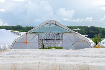 Greenhouse structure with clear roof under cloudy sky at a rural farming location in summer