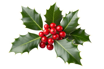 A sprig of vibrant green holly leaves with bright red berries isolated on transparent background