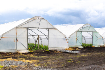 Greenhouses in a rural area providing a controlled environment for plant growth on an overcast day