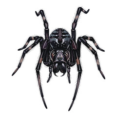 Dark Spider Watercolor Sublimation