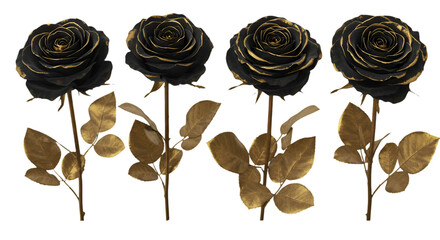 Isolated Black And Gold Roses Floral Illustration On Transparent Background