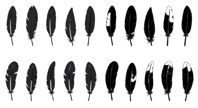 Isolated Black Feather Silhouette Set On Transparent Background Illustration