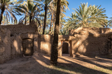 AlUla - Landscape - Oasis summer farms (Saudi Arabia)