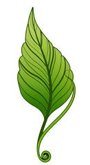 Isolated Illustration Of A Green Leaf Against A Transparent Background