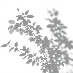 shadow overlay effect. Gray shadow of leaves isolated on white background. 
Plant foliage leaf shadow light effect. Mockup Blurred tree branch shadow. Ideal for summer spring design elements PNG