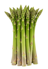 Isolated Asparagus Stalks Illustration On Transparent Black Background