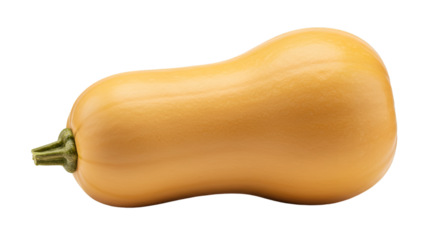 Isolated Butternut Squash Illustration On Transparent Background Healthy Food