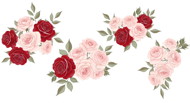 Isolated Floral Bouquet Illustration with Red and Pink Roses PNG Background