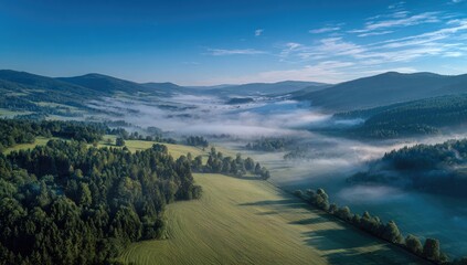 Obraz premium Misty valley, aerial view. Lush green forests and fields below a hazy morning sky