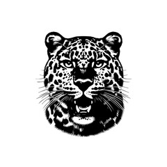 Fierce Black and White Jaguar Head with Open Mouth Roar.