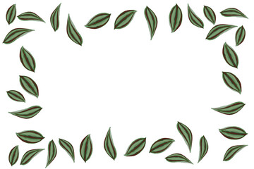 ornamental plant leaf frame without background
