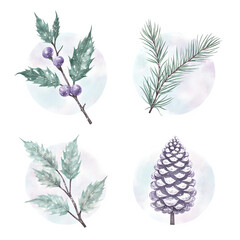Obraz premium Watercolor set of 4 festive greenery elements: holly with berries, snowy pine, eucalyptus twig, and glittered fir cone