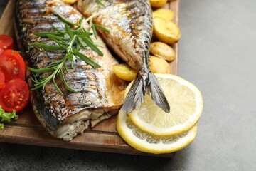 Tasty roasted mackerels with spices and vegetables on grey table, closeup. Homemade seafood dish