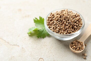 Coriander seeds in bowl, spoon and fresh cilantro leaf on color textured table, closeup. Space for text