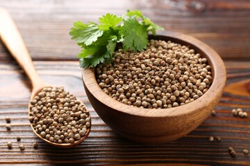 Coriander seeds and fresh cilantro leaves on wooden table, closeup