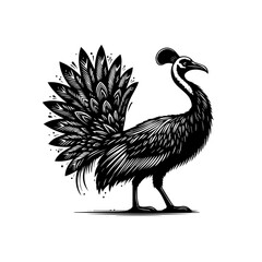 Stylized Black and White Silhouette of a Cassowary Bird.