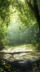 Obraz premium Walking Path Through Lush Forest with Sunlight Streaming Through