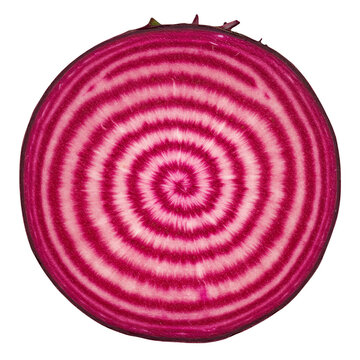 Isolated Photo Beetroot Slice with Concentric Circles