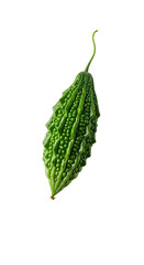 Isolated Green Bitter Melon Photo on Transparent Black Background