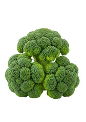 Isolated Green Broccoli Photo On Black Background Illustration