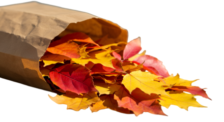 Isolated Photo Of Autumn Leaves In A Brown Paper Bag Against Black Background