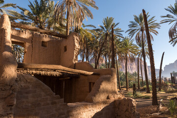 AlUla - Landscape - Oasis (Saudi Arabia)