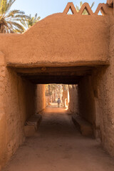 AlUla - Landscape - Oasis (Saudi Arabia)