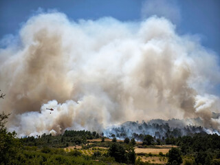Helicóptero bombeiro na luta contra um grande incêndio florestal numa densa floresta que deixa uma grande nuvem de fumo no ar